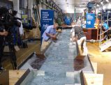 P1030316
